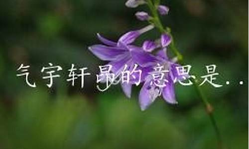 气宇轩昂的意思解释_气宇轩昂的意思解释是