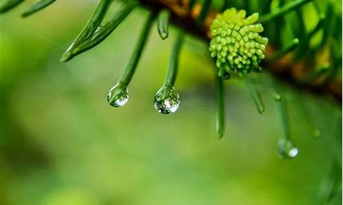 春风化雨润物无声_春风化雨润物无声的意思